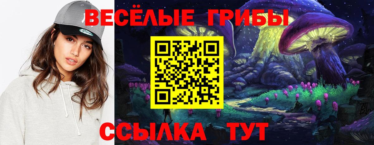 Галлюциногенные грибы Cubensis  Вход с VPN  Надым  Галлюциногенные грибы прущие грибы 