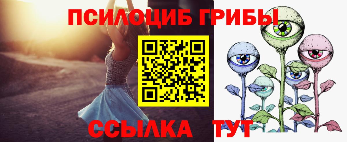 Галлюциногенные грибы Cubensis Надым